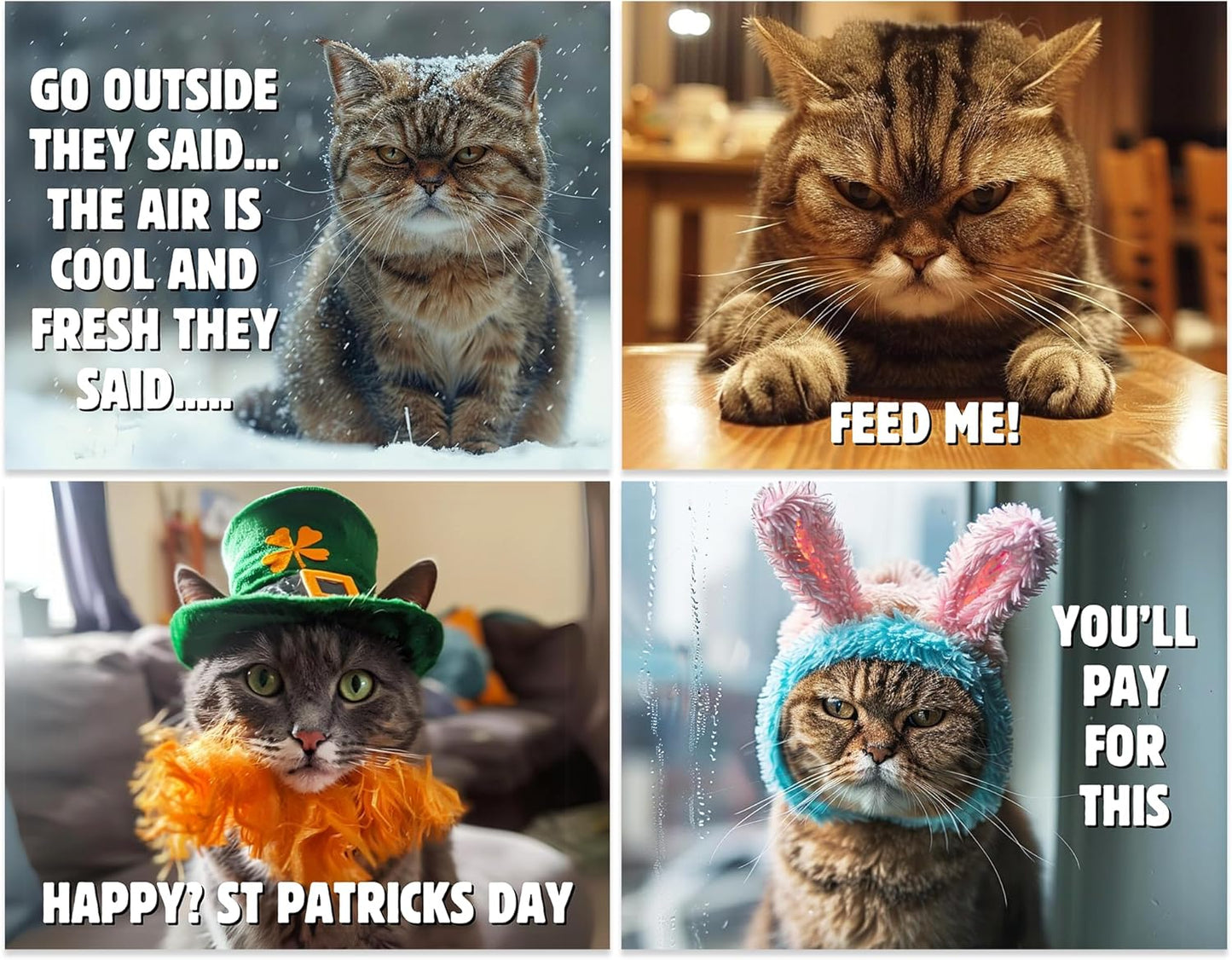 😾2026 Peed-Off Cats Calendar - Funny Cat Themed Gifts For Cat Lovers