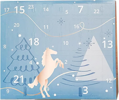 Countdown to Christmas: 🐴2025 Advent Calendar for Horse Lovers! ✨