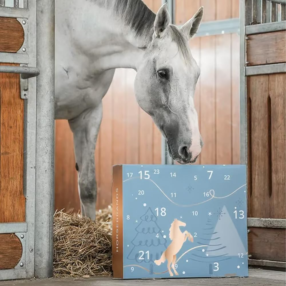 Countdown to Christmas: 🐴2025 Advent Calendar for Horse Lovers! ✨