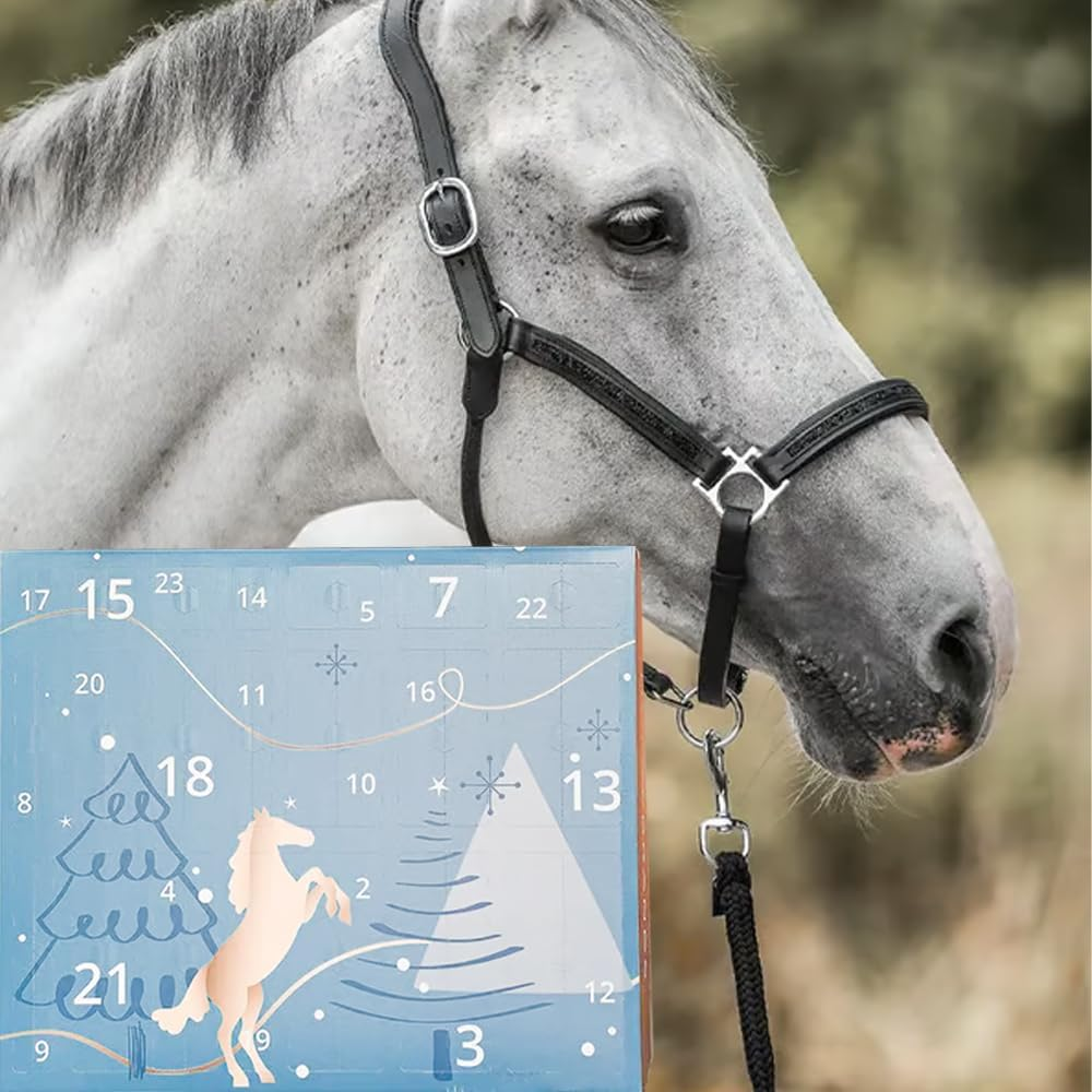 Countdown to Christmas: 🐴2025 Advent Calendar for Horse Lovers! ✨