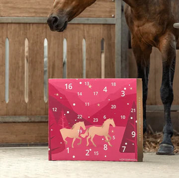 Countdown to Christmas: 🐴2025 Advent Calendar for Horse Lovers! ✨