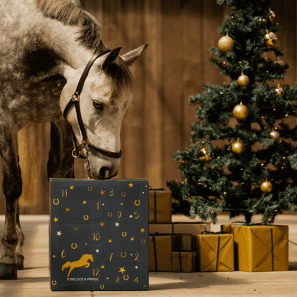 Countdown to Christmas: 🐴2025 Advent Calendar for Horse Lovers! ✨