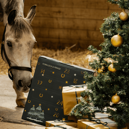 Countdown to Christmas: 🐴2025 Advent Calendar for Horse Lovers! ✨