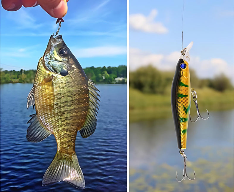 🔥 Buy 2+ Get Free shipping 🎣Merry Christmas Fishing Advent Calendar