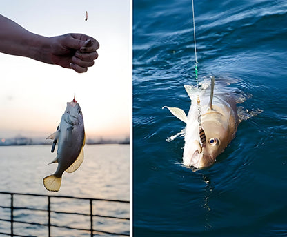 🔥 Buy 2+ Get Free shipping 🎣Merry Christmas Fishing Advent Calendar