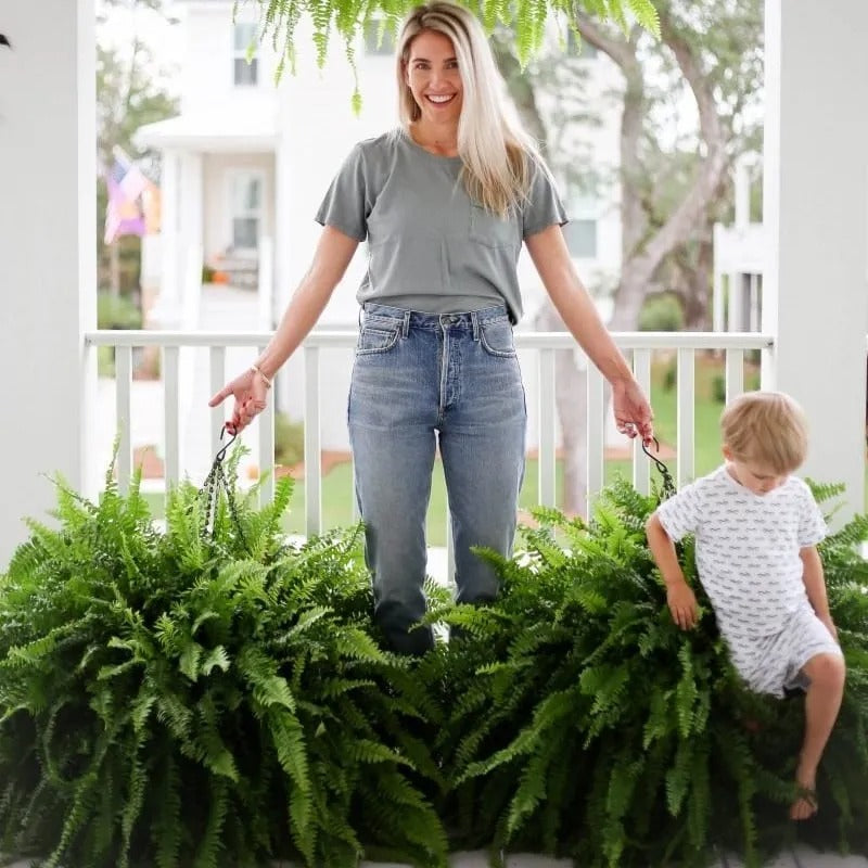 🔥 $9.96 On Sale Only Today 🌱 UV-Resistant Lifelike Artificial Boston Fern